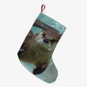 Eine niedliche Brown-Otterschwimmen in einem Kleiner Weihnachtsstrumpf
