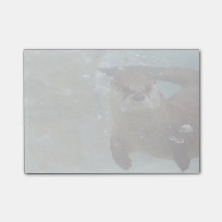 Eine niedliche Brown-Otterschwimmen in einem Post-it Klebezettel
