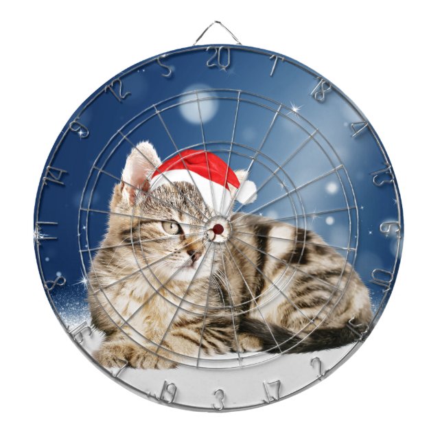 Eine Niedliche Katze, die einen Weihnachtsschnee i Dartscheibe (vorne)