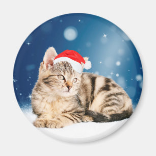 Eine Niedliche Katze, die einen Weihnachtsschnee i Magnet