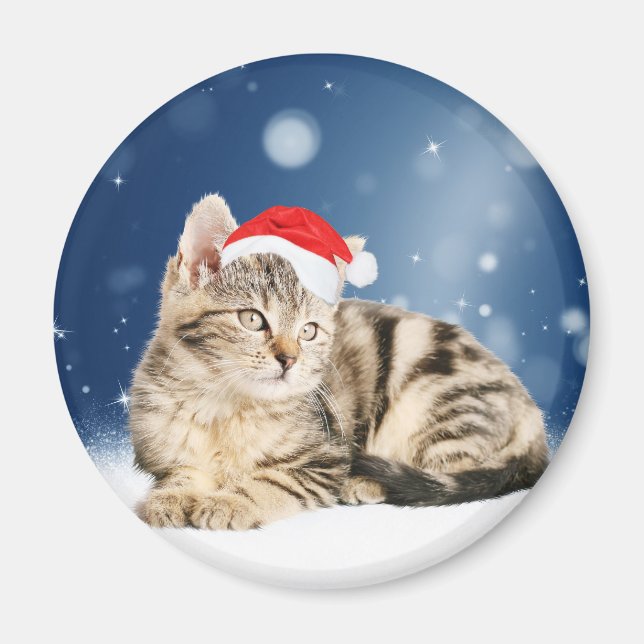 Eine Niedliche Katze, die einen Weihnachtsschnee i Magnet (Vorne)