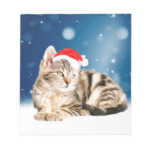 Eine Niedliche Katze, die einen Weihnachtsschnee i Notizblock