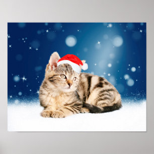 Eine Niedliche Katze, die einen Weihnachtsschnee i Poster