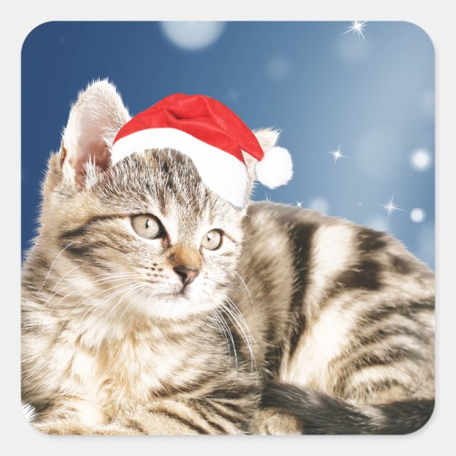 Eine Niedliche Katze, die einen Weihnachtsschnee i Quadratischer Aufkleber (Vorderseite)