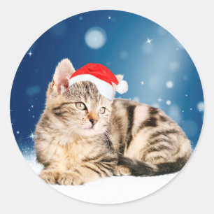 Eine Niedliche Katze, die einen Weihnachtsschnee i Runder Aufkleber