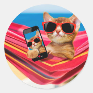 Eine niedliche Katze lag in einer Hängematte Runder Aufkleber