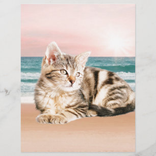 Eine Niedlichere gestreifte Katze am Strand mit So