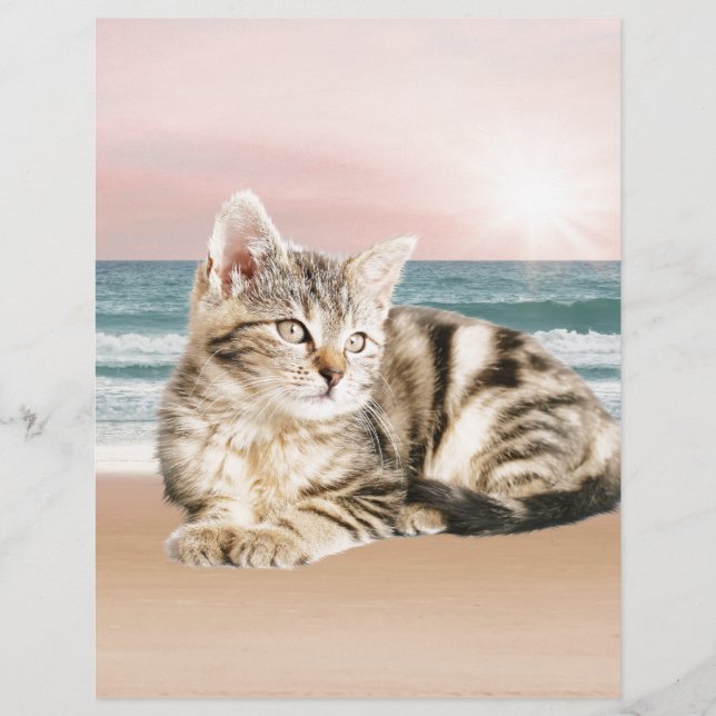 Eine Niedlichere gestreifte Katze am Strand mit So (Vorderseite)