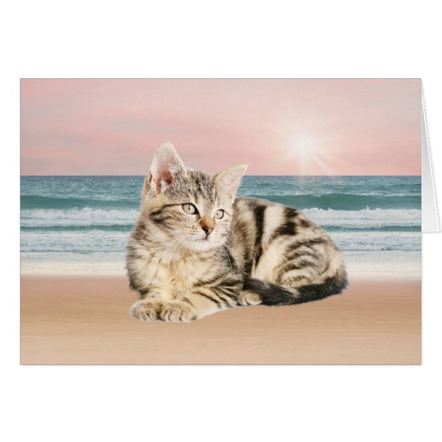 Eine Niedlichere gestreifte Katze am Strand mit So (Vorderseite (Horizontal))
