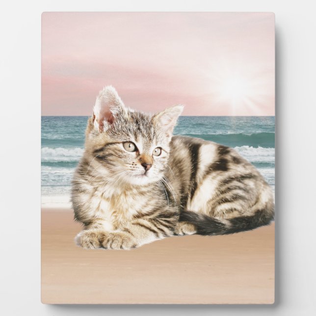 Eine Niedlichere gestreifte Katze am Strand mit So Fotoplatte (Vorderseite)