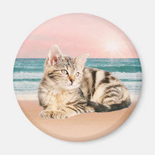 Eine Niedlichere gestreifte Katze am Strand mit So Magnet