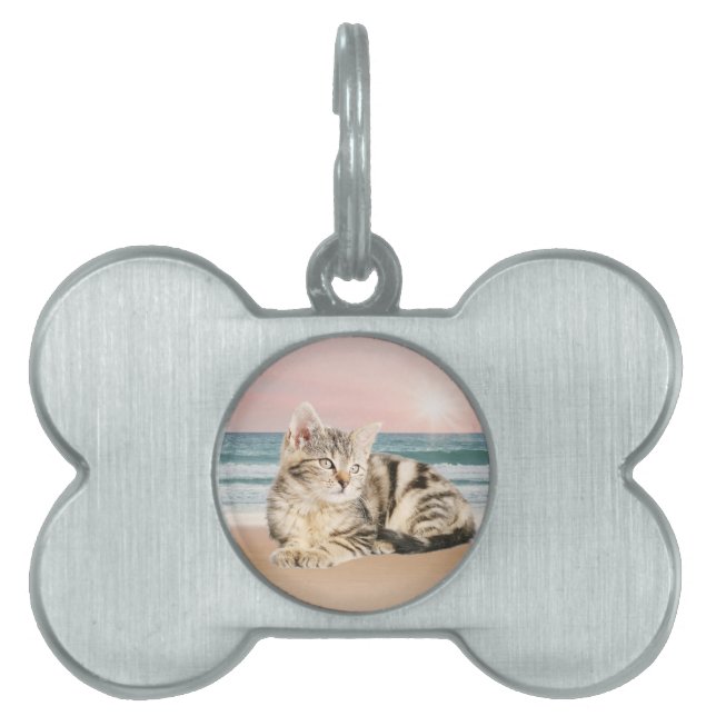 Eine Niedlichere gestreifte Katze am Strand mit So Tiermarke (Vorderseite)