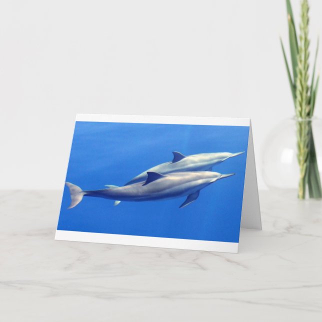 eine Note Card Karte (Vorderseite)