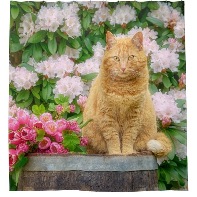 Eine orangefarbene Katze im Garten mit rosa Frühli Duschvorhang (Vorderseite)