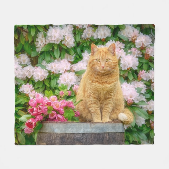 Eine orangefarbene Katze im Garten mit rosa Frühli Fleecedecke (Vorderseite (Horizontal))