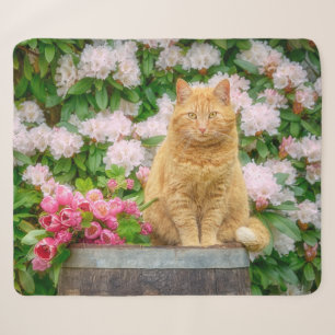 Eine orangefarbene Katze im Garten mit rosa Frühli Sherpadecke