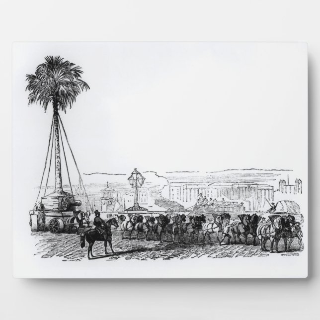 Eine Palme, die zum Hyde Park für die Fotoplatte (Vorderseite)