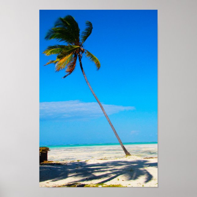 Eine Palme Poster (Vorne)