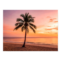 Eine Palme steht allein am Strand bei Sonnenunterg