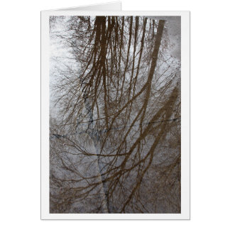 "Eine Pfütze der Baum-" - Foto-Kunst