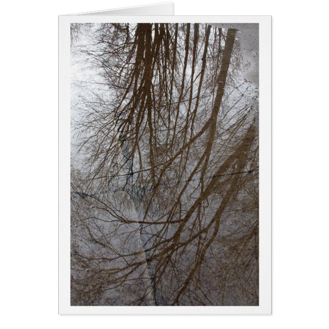 "Eine Pfütze der Baum-" - Foto-Kunst (Vorne)