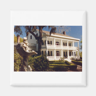 Eine Plantage auf dem Mississippi Magnet