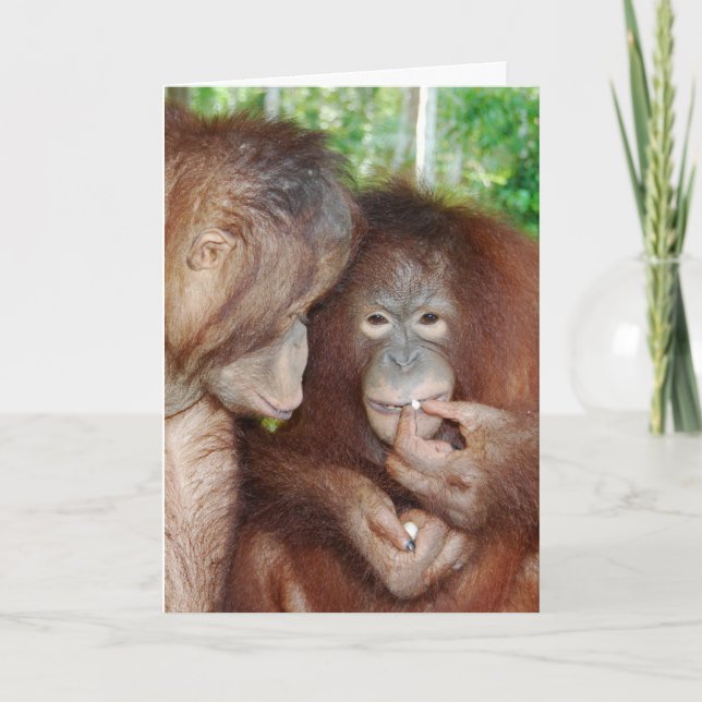 Eine Prinzessin bekommt alle Leckereien Karte (Vorderseite)