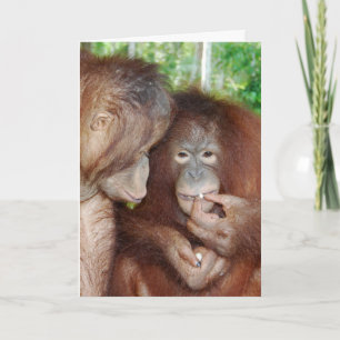 Eine Prinzessin bekommt alle Leckereien Karte