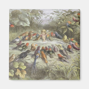 Eine Probe im feenhaften Land, Illustration von Magnet