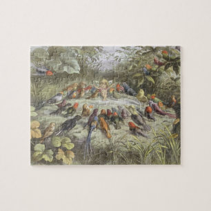 Eine Probe im feenhaften Land, Illustration von Puzzle