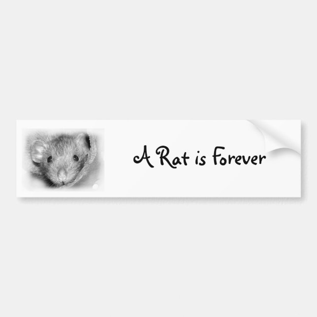 Eine Ratte ist für immer Autoaufkleber (Vorne)