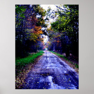 Eine Reise in Wonderland Poster