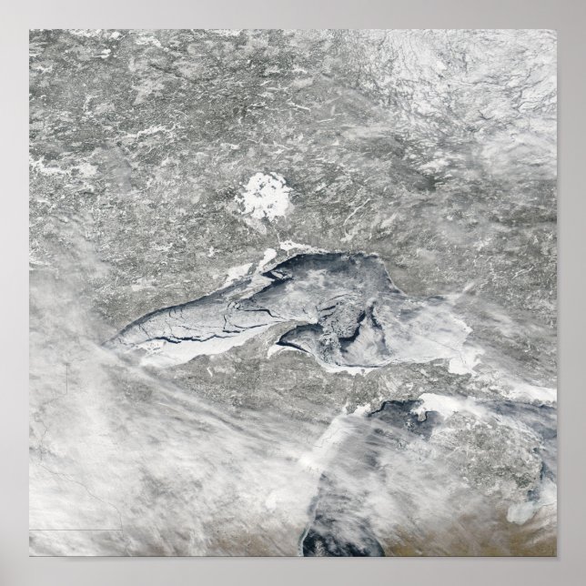 Eine relativ seltene Eisdecke Poster (Vorne)