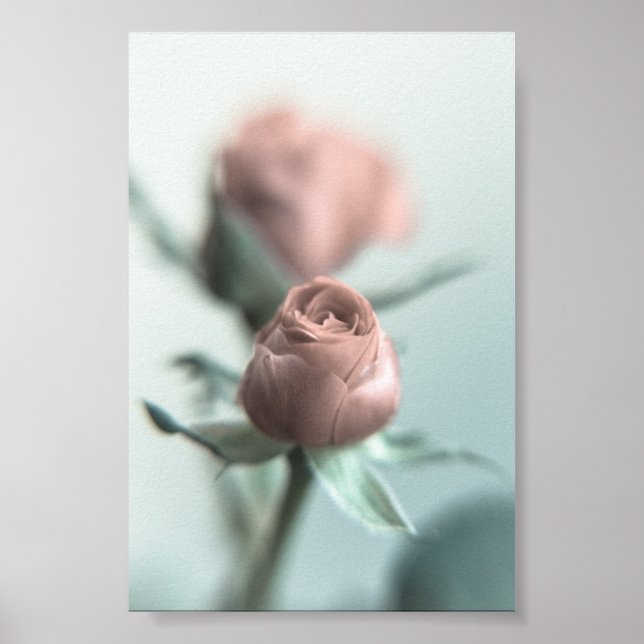 Eine rosa Rose für deinen Liebsten... Poster (Vorne)
