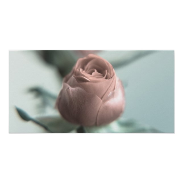 Eine rosa Rose für deinen Liebsten... Poster (Vorderseite)