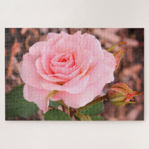 Eine rosa Rose im Garten Puzzle