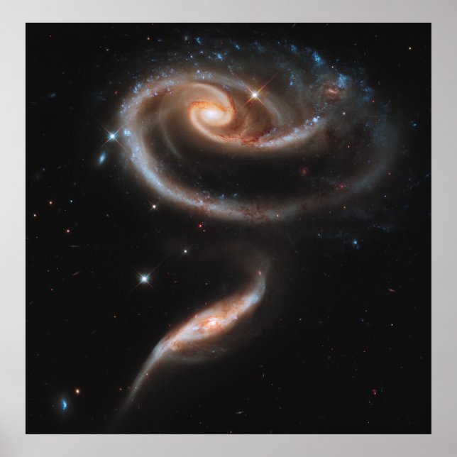 Eine Rose aus Galaxien, ARP 273 [drucken] Poster (Vorne)