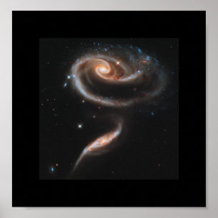 Eine Rose aus Galaxien - Hubble-Weltraumteleskop Poster
