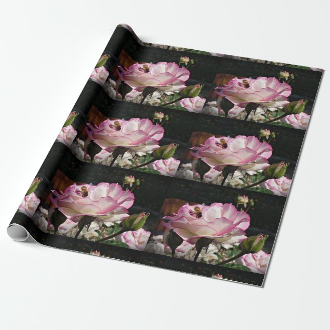 Eine Rose, eine Knospe u. ein Geschenkpapier (Ungerollt)