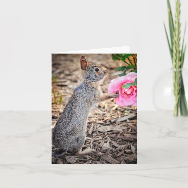 Eine Rose für die Note Card Karte (Vorderseite)
