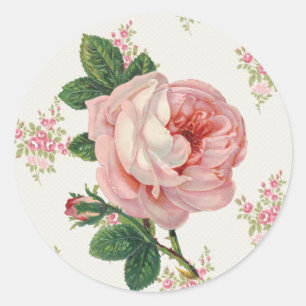 Eine Rose für ein Vintage-Rosa-Blumenmuster Runder Aufkleber