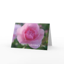 Eine Rose für eine Rose zum Valentinstag