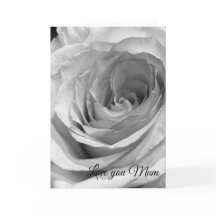 Eine Rose für Mutti