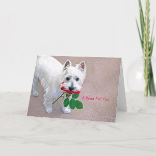 "Eine Rose für Sie" jeden Anlaß Grußkarte Dankeskarte