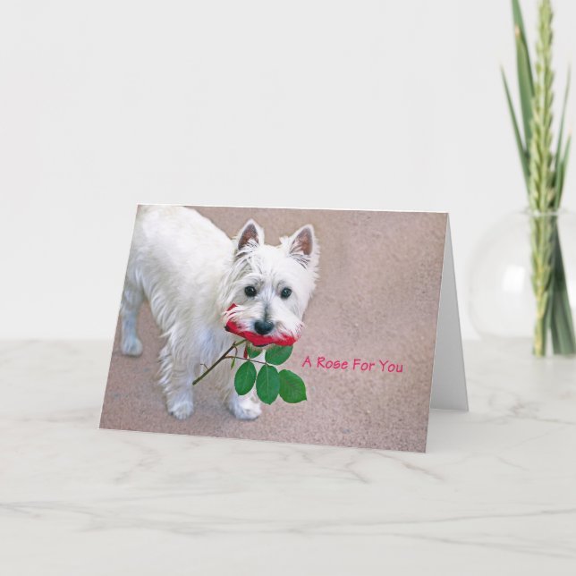 "Eine Rose für Sie" jeden Anlaß Grußkarte Dankeskarte (Vorderseite)