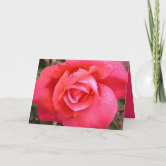 Eine Rose in der Blüte Karte
