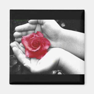 Eine Rose in der Hand 2 Magnet
