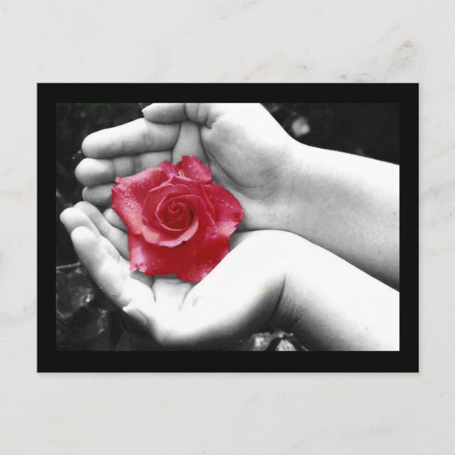Eine Rose in Hand 2 Postkarte (Vorderseite)