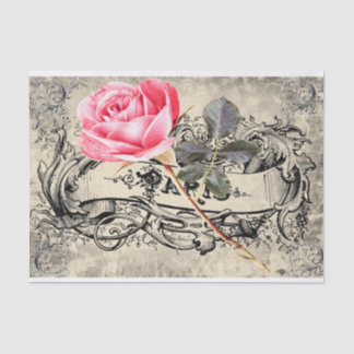 Eine Rose in Paris Seidenpapier