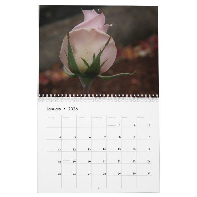 eine Rose ist eine Rose ist ein Rosenkalender für Kalender (Jan 2026)